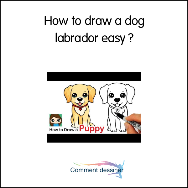 How to draw a dog labrador easy